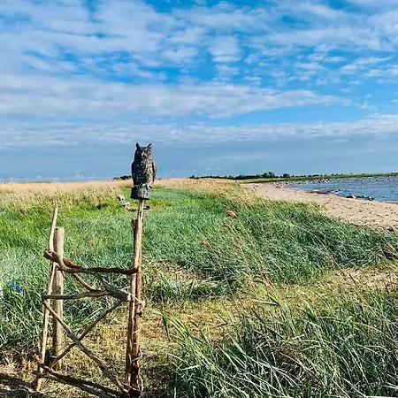 Muha Beach Holiday Дом отдыха Riksu