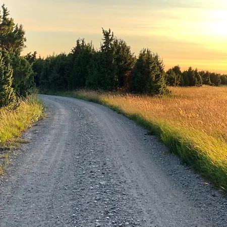 Muha Dom wakacyjny *