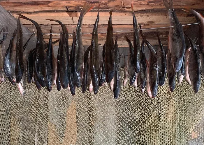 Muha Beach Holiday *